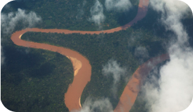 Tambopata Project